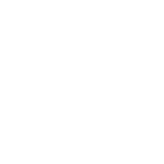 airplane logo